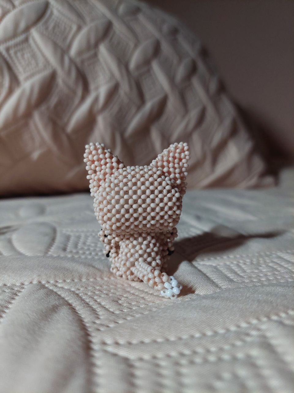 Котя 🐈 - Зображення 2