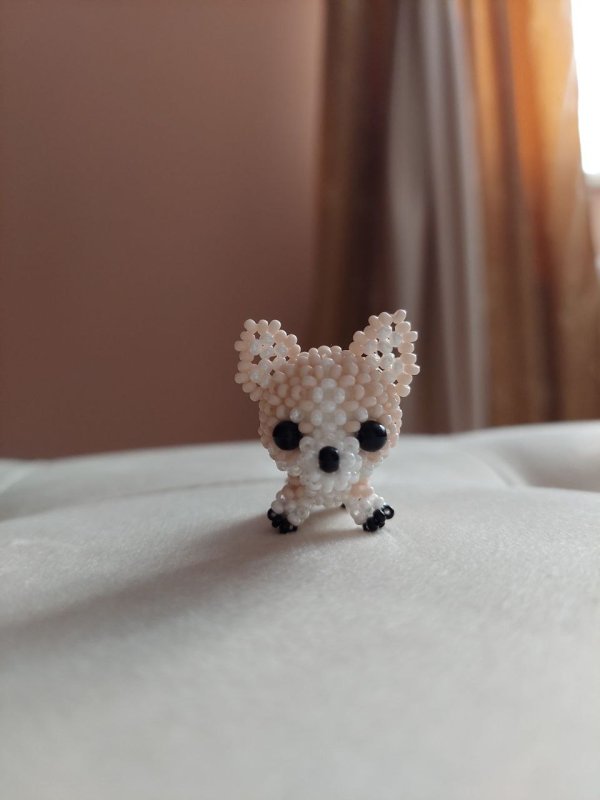 Маленьке цуценятко 🐶