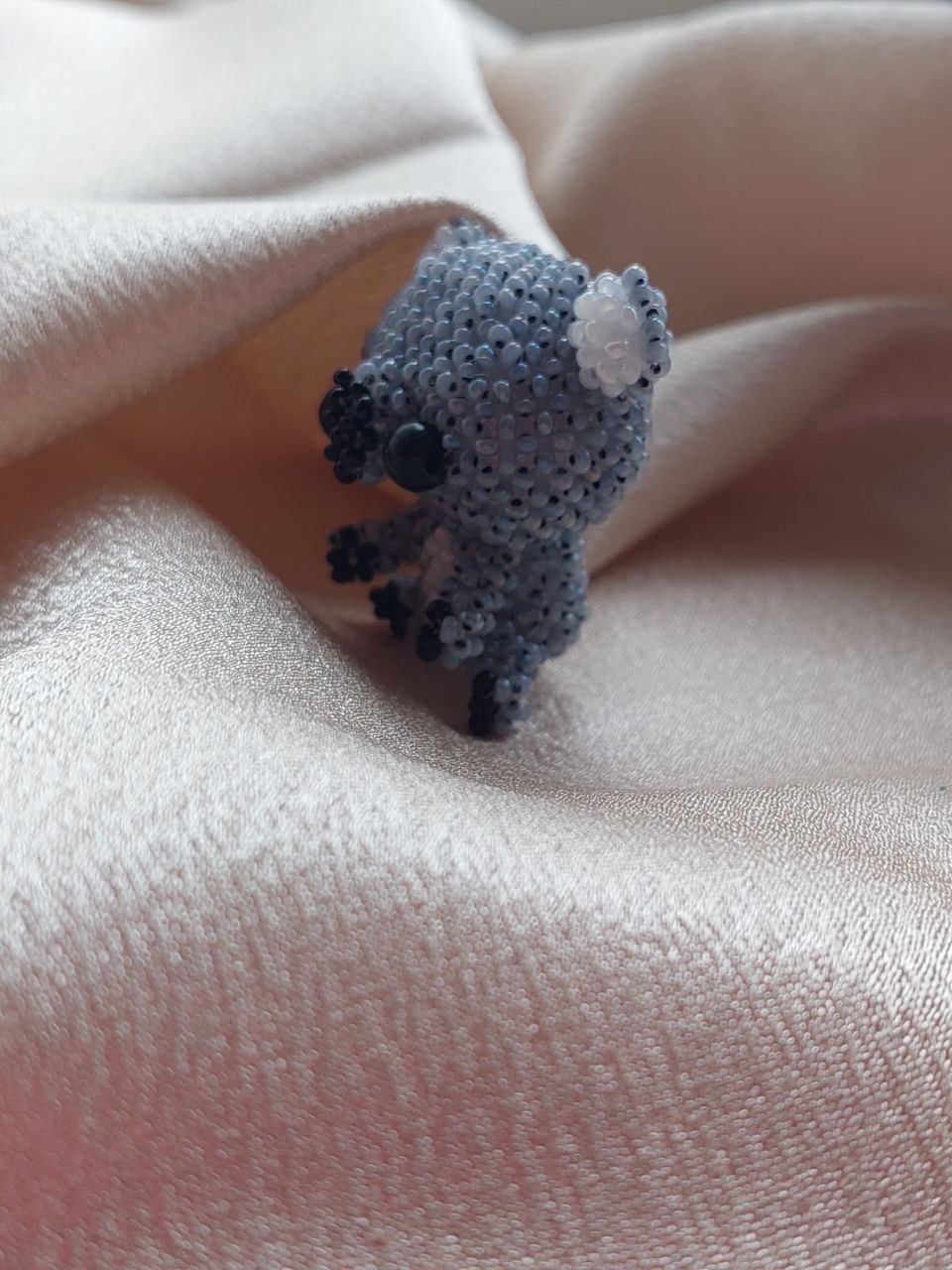 Коала 🐨 - Зображення 2