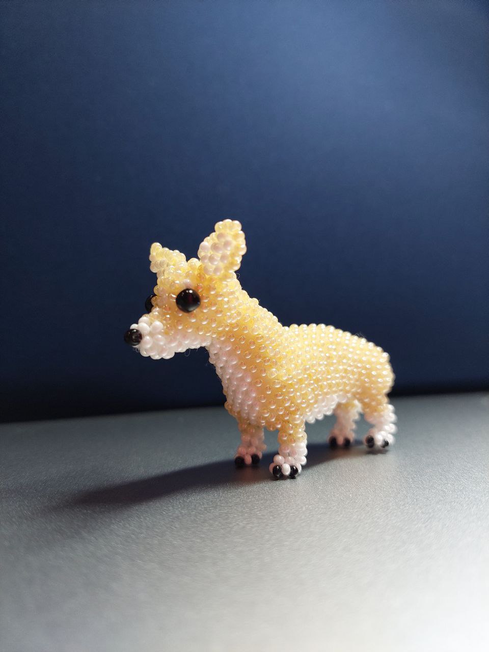 Коргі 🐕 - Зображення 2