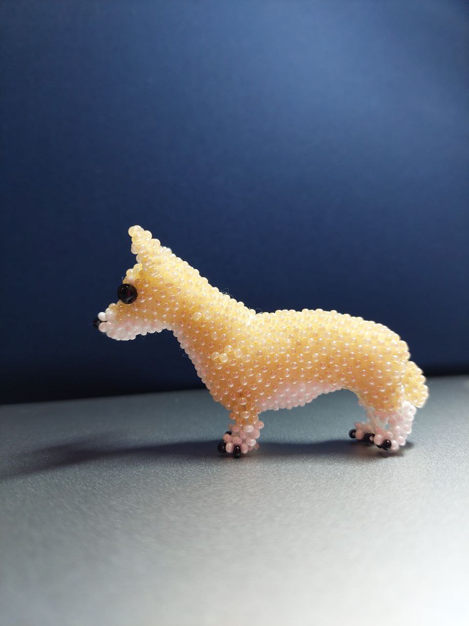 Коргі 🐕 - Зображення 3