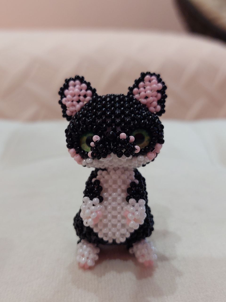 Котик 🐈