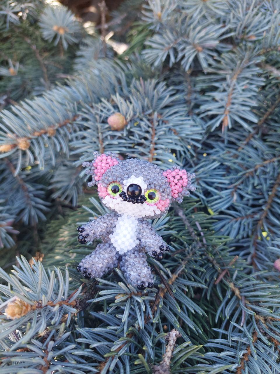 Коала 🐨😍 - Зображення 2